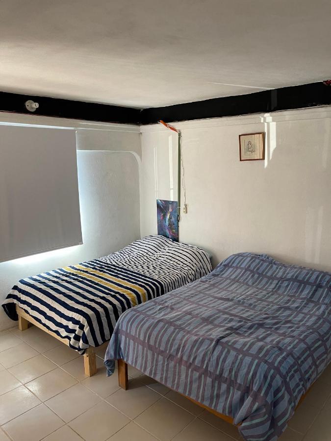Casa Nova! Private Bathroom And Room 坎昆 外观 照片